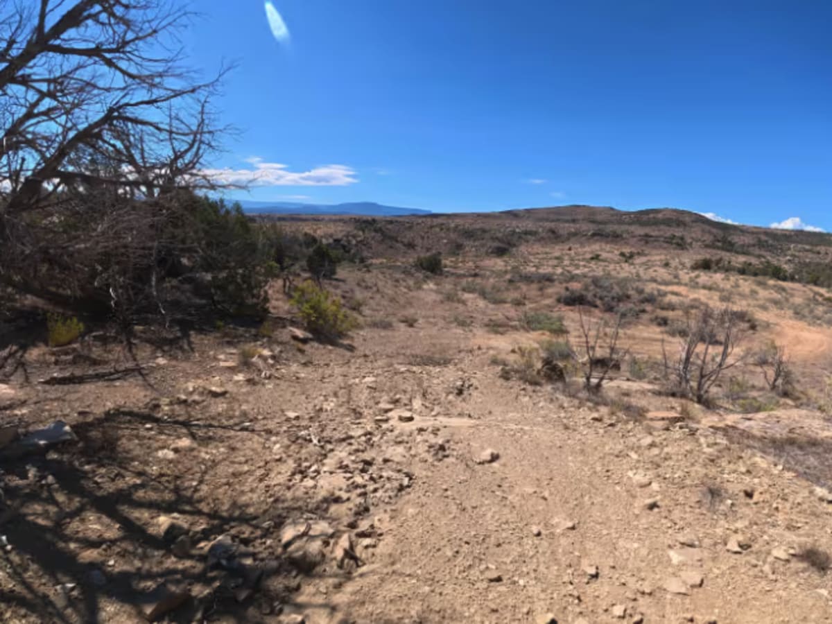BLM 286C photo 4