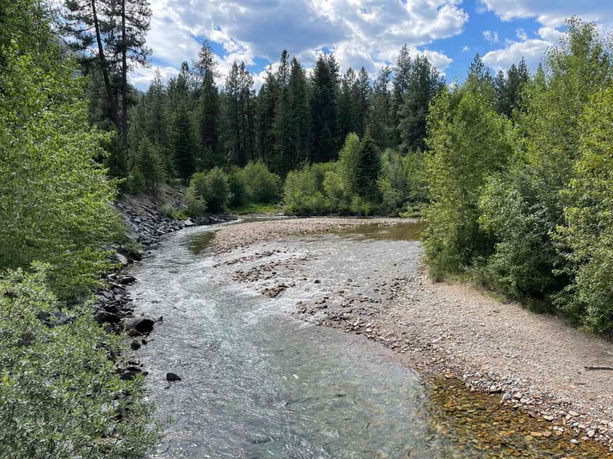 Bear Creek photo 2