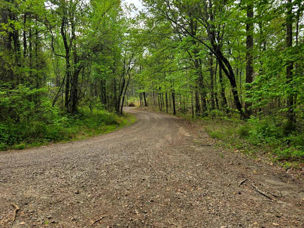Apple Tree trail photo