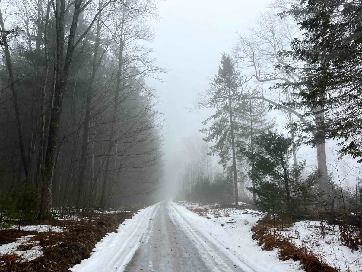 Hessel Gessel Trail photo 4