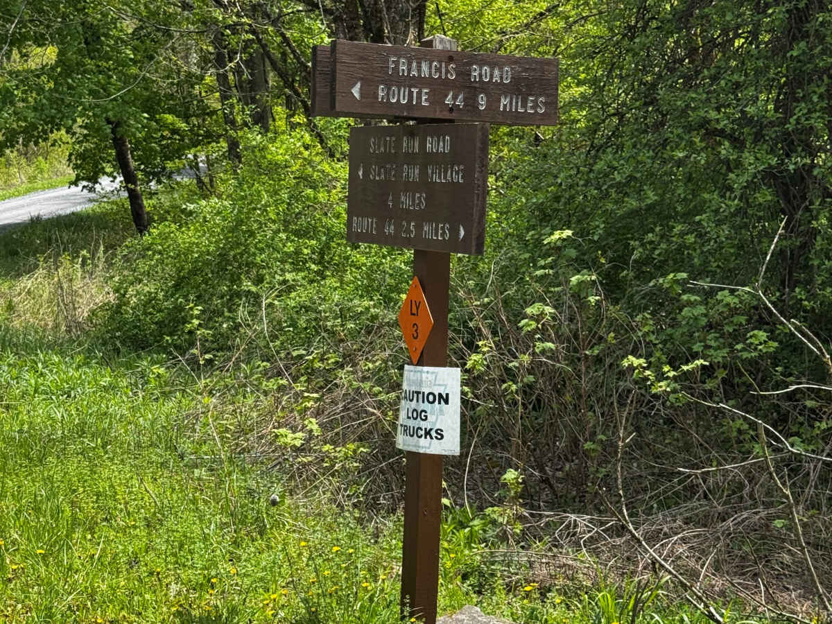 Francis Road trail photo