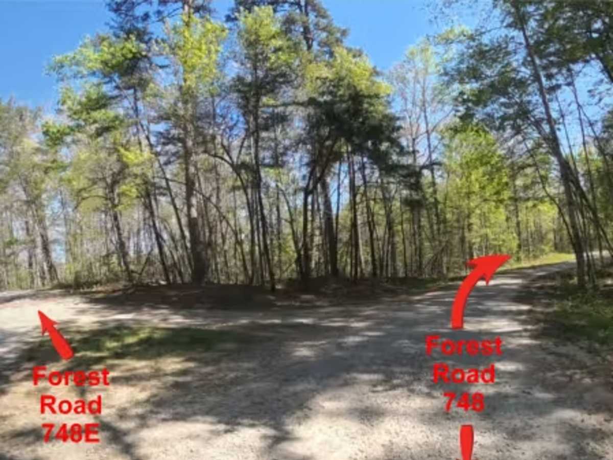 FS 748E trail photo