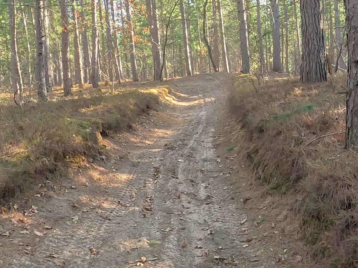 Mack Lake Loop Trail - ORV H-57 photo 4