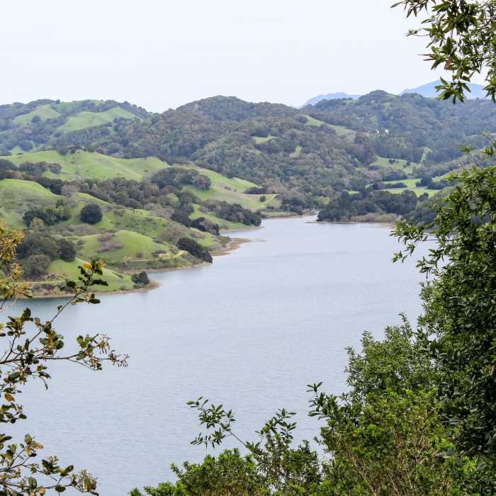 Near Briones Reservoir Loop Trail