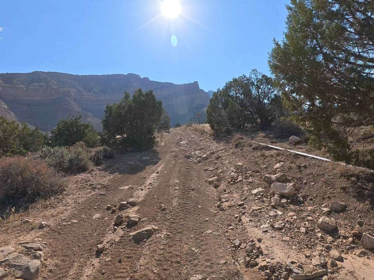 Upper Q 5/10 Road trail photo