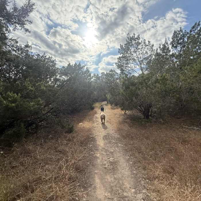 Near Spicewood Valley Trail