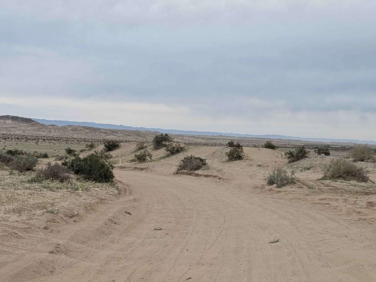 Count Line Road photo 3