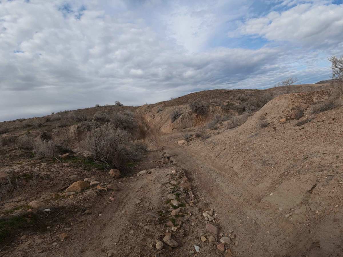 BLM 131 photo 5