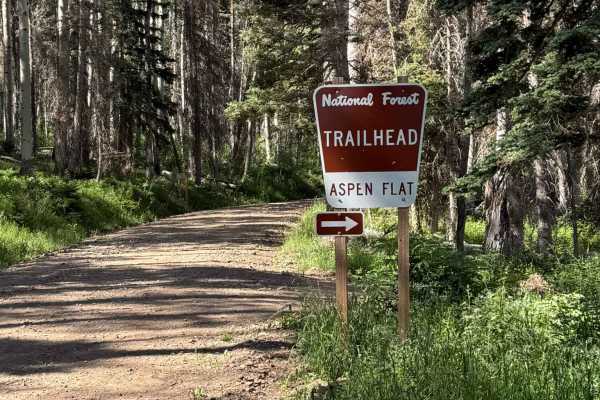 Aspen Flat Trail No. 018