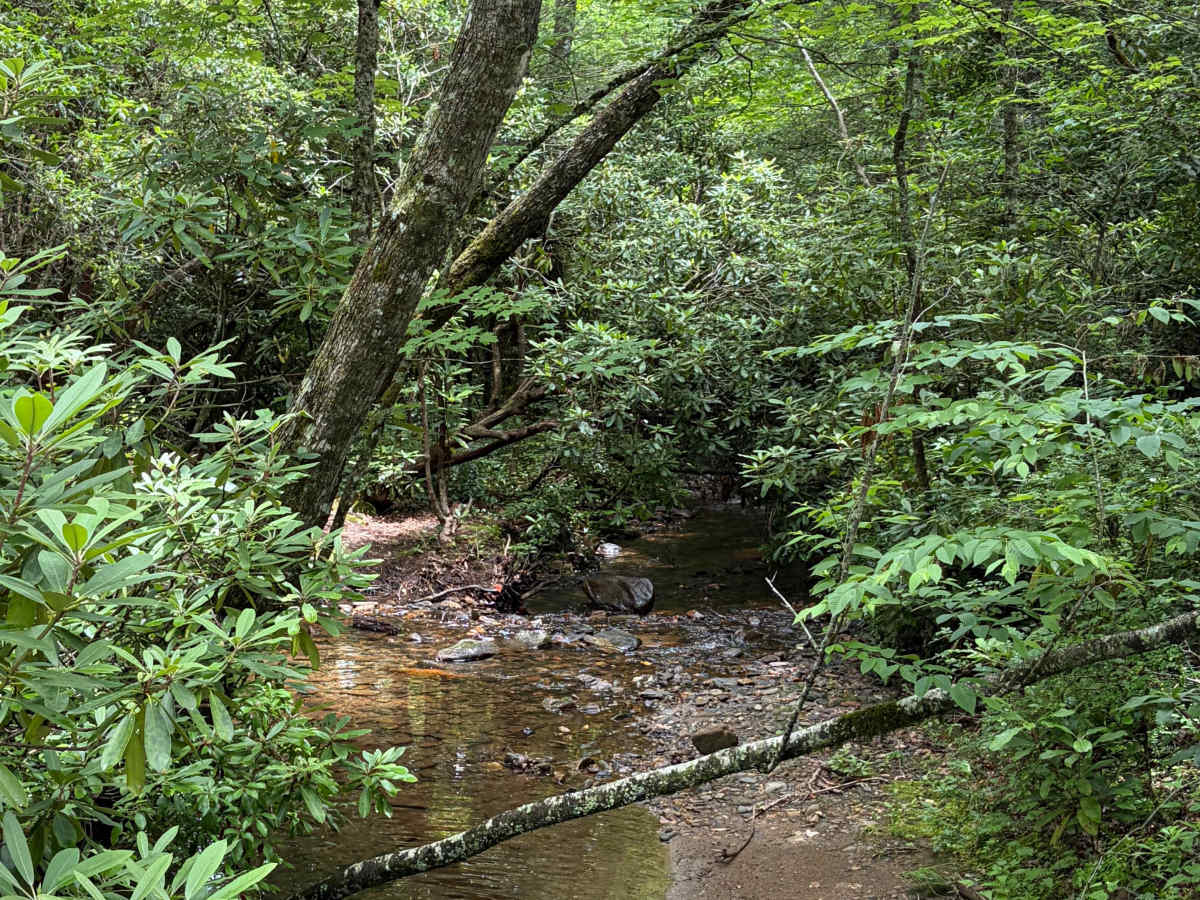 Headwater photo 4