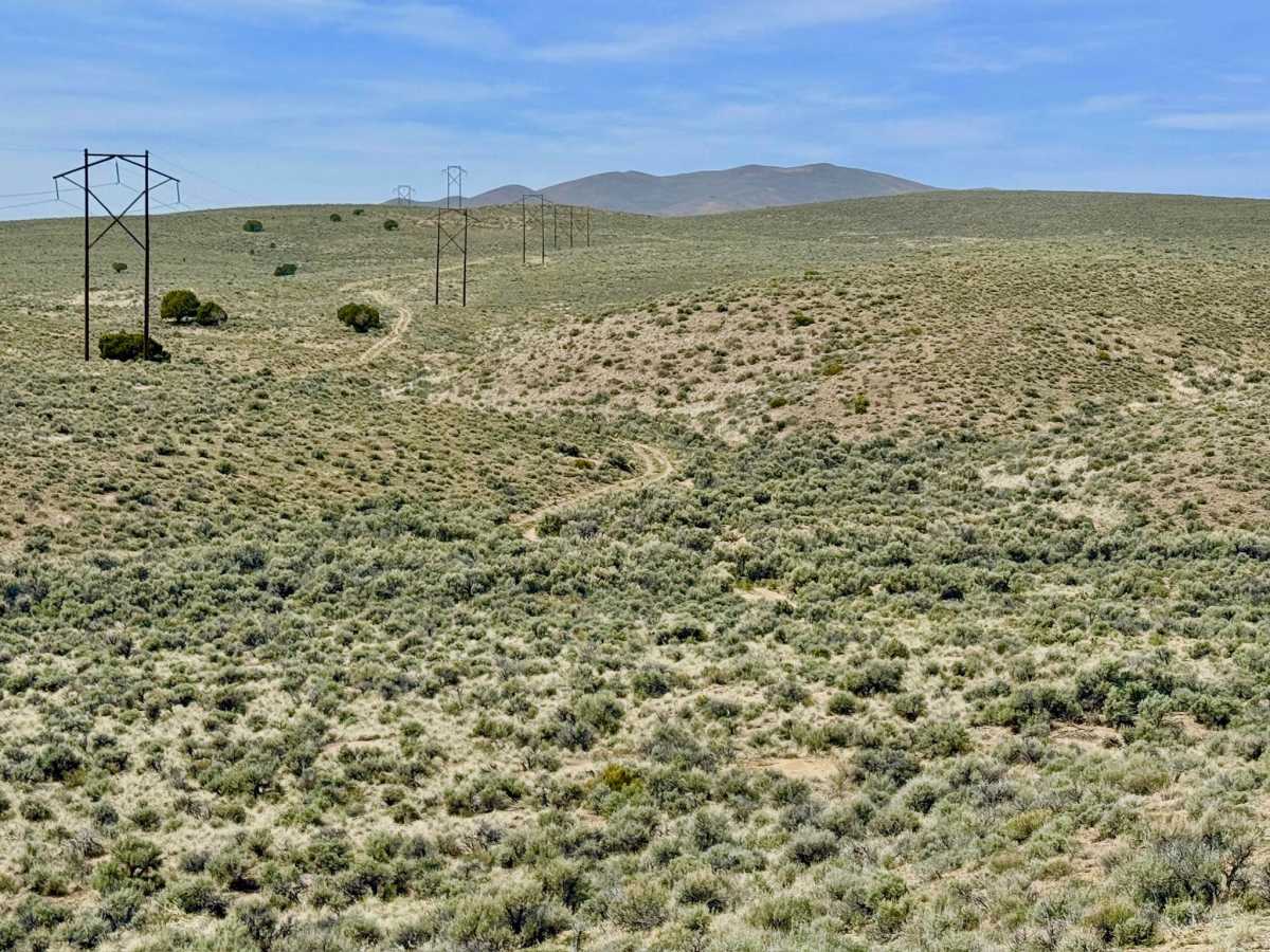 Willow Creek Ranch Cutoff FS43496A photo 5