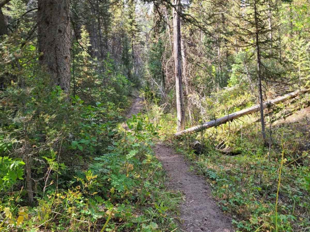 Crear Creek trail photo