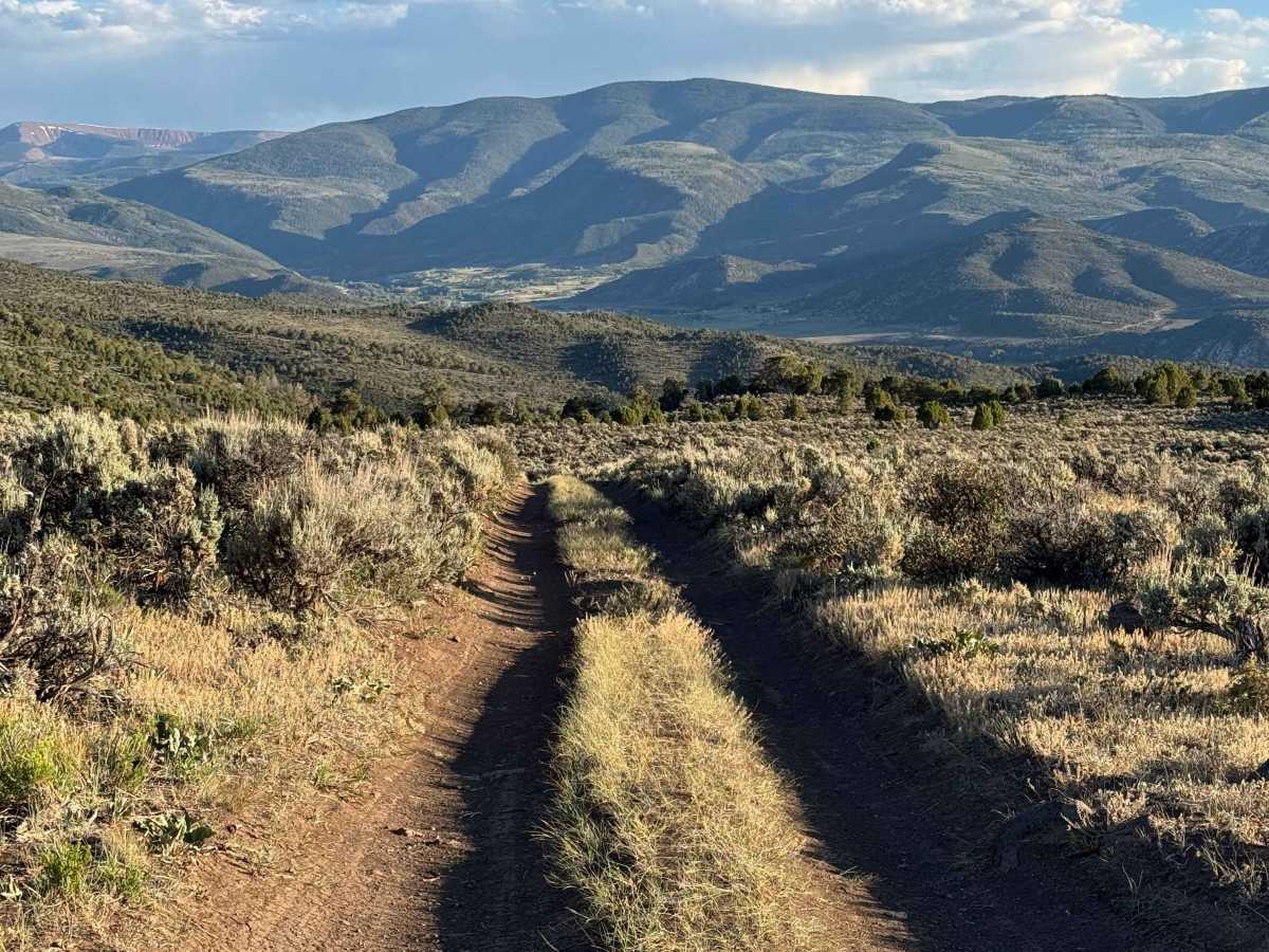 BLM 8410 trail photo