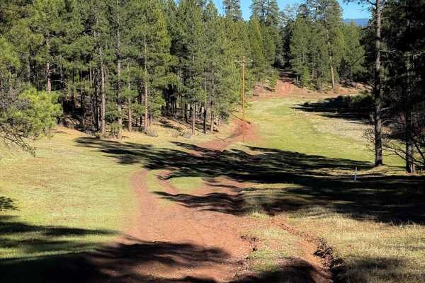 Windy Trail - 612 