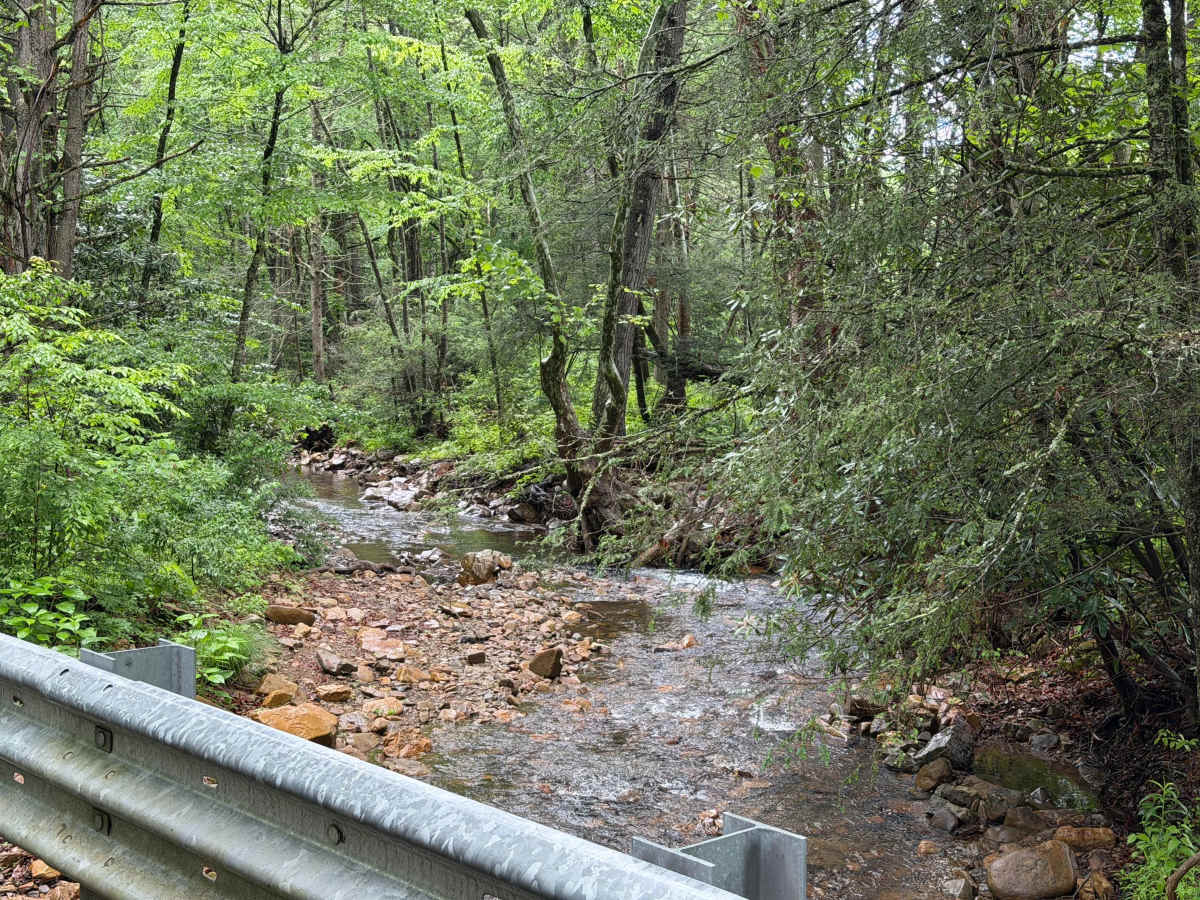 Comers Creek Road - FS 650 photo 5