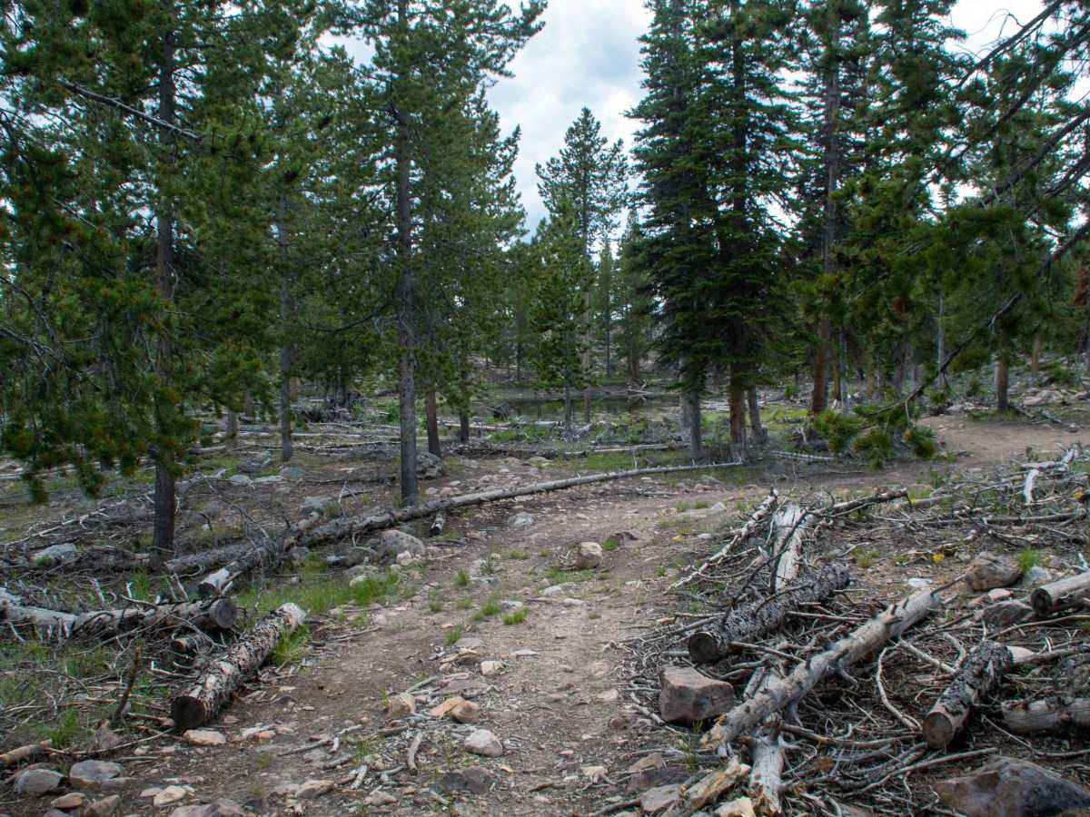 Spring Canyon 1 - FS 80935 photo 5