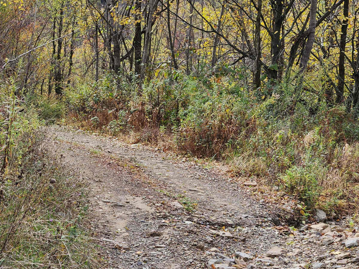 OHV 11 - Rock Run Recreation Area photo 3