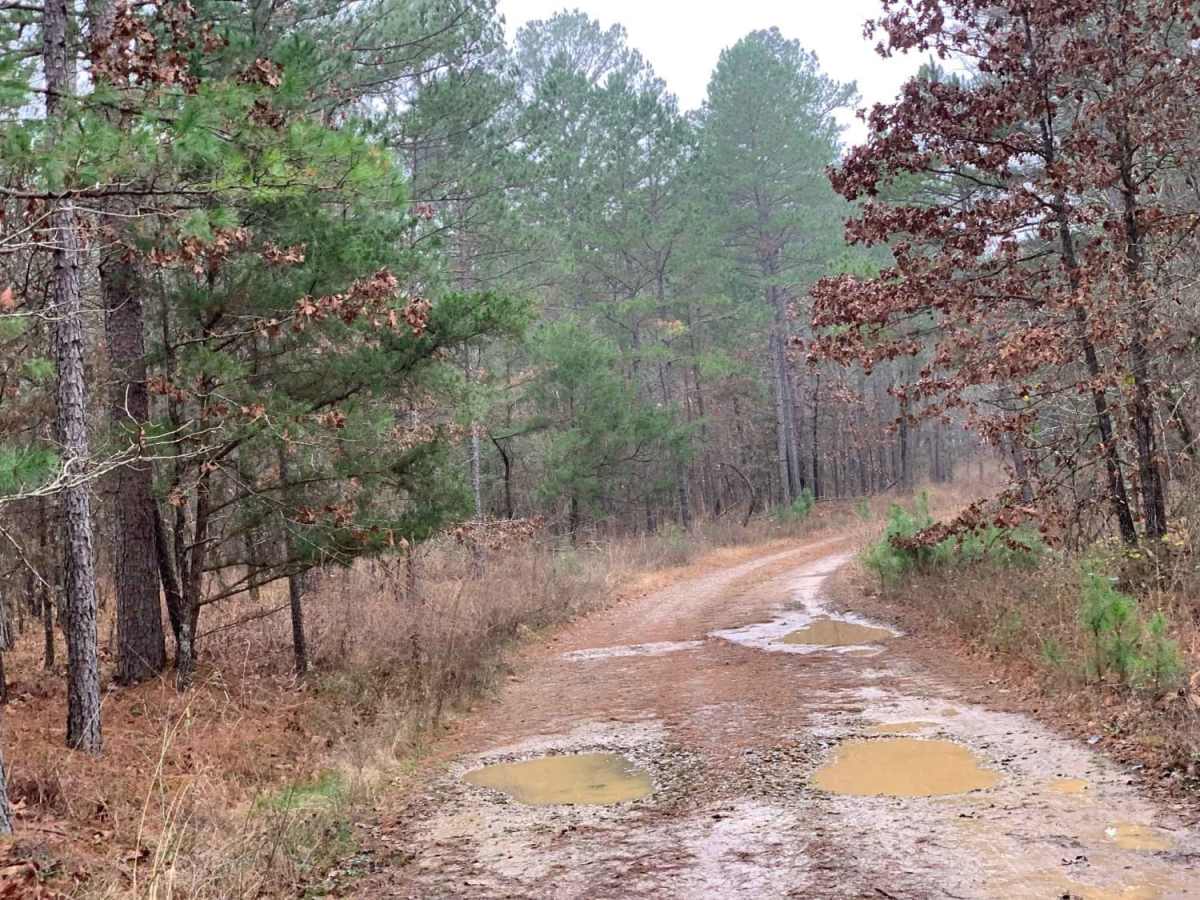 Fish Fry Creek Road photo 2