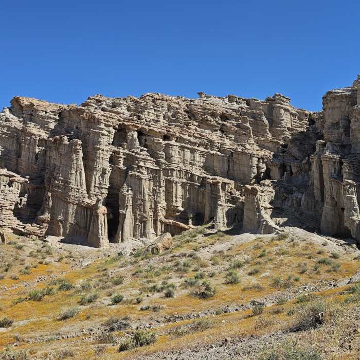 Exploring Hagen Canyon. Spring flowers. Near Hagen Canyon