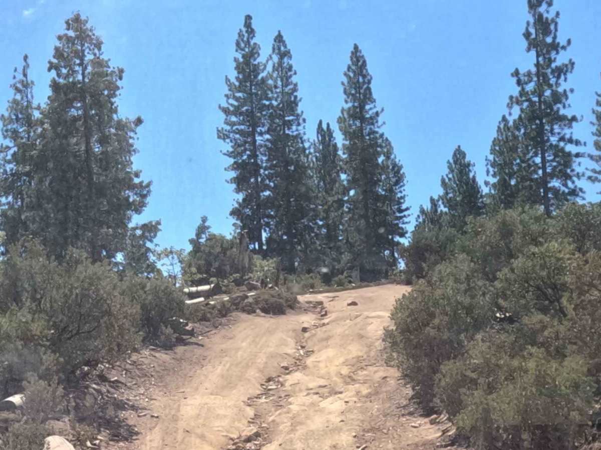 Ten Mile Spur - FS 5S062 photo 5