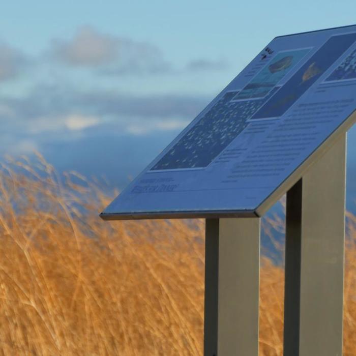 Near San Pablo Bay Trail