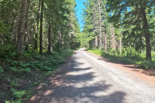 Section 3 Road - FS 2067525 
