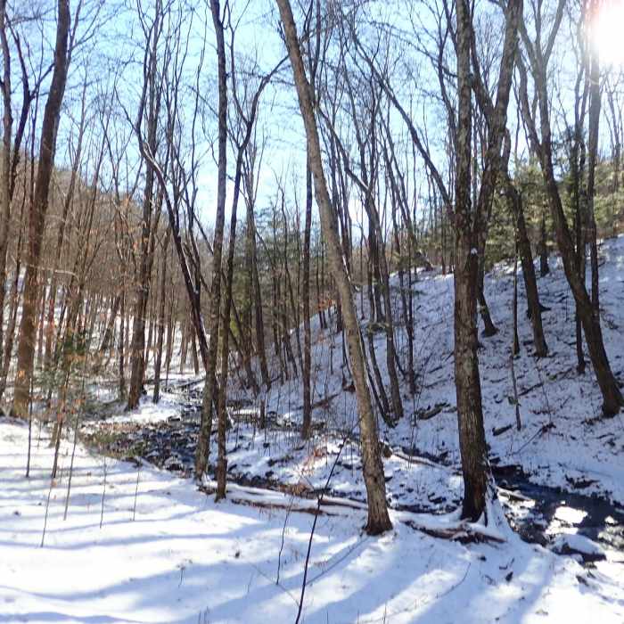 Near Ashokan High Point