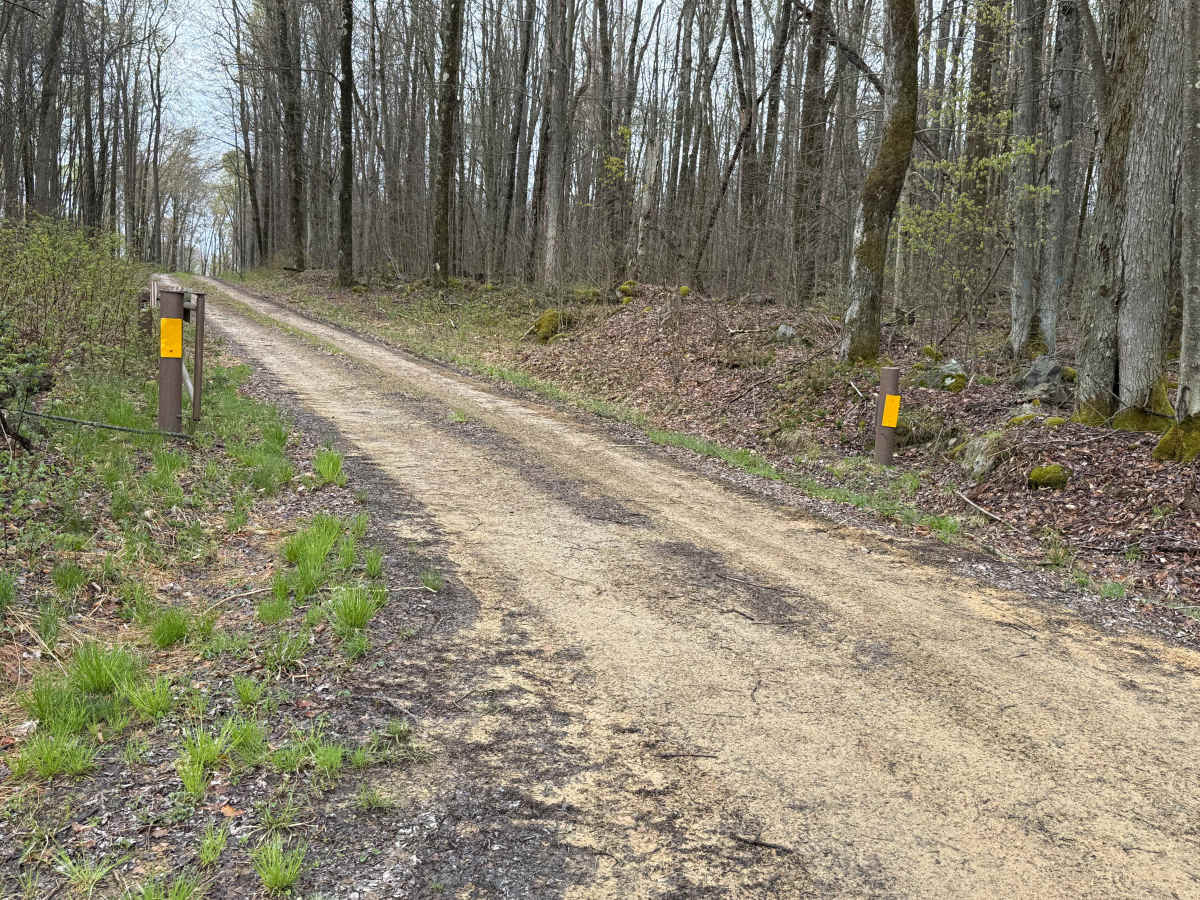 Fools Creek A - FS 255A trail photo