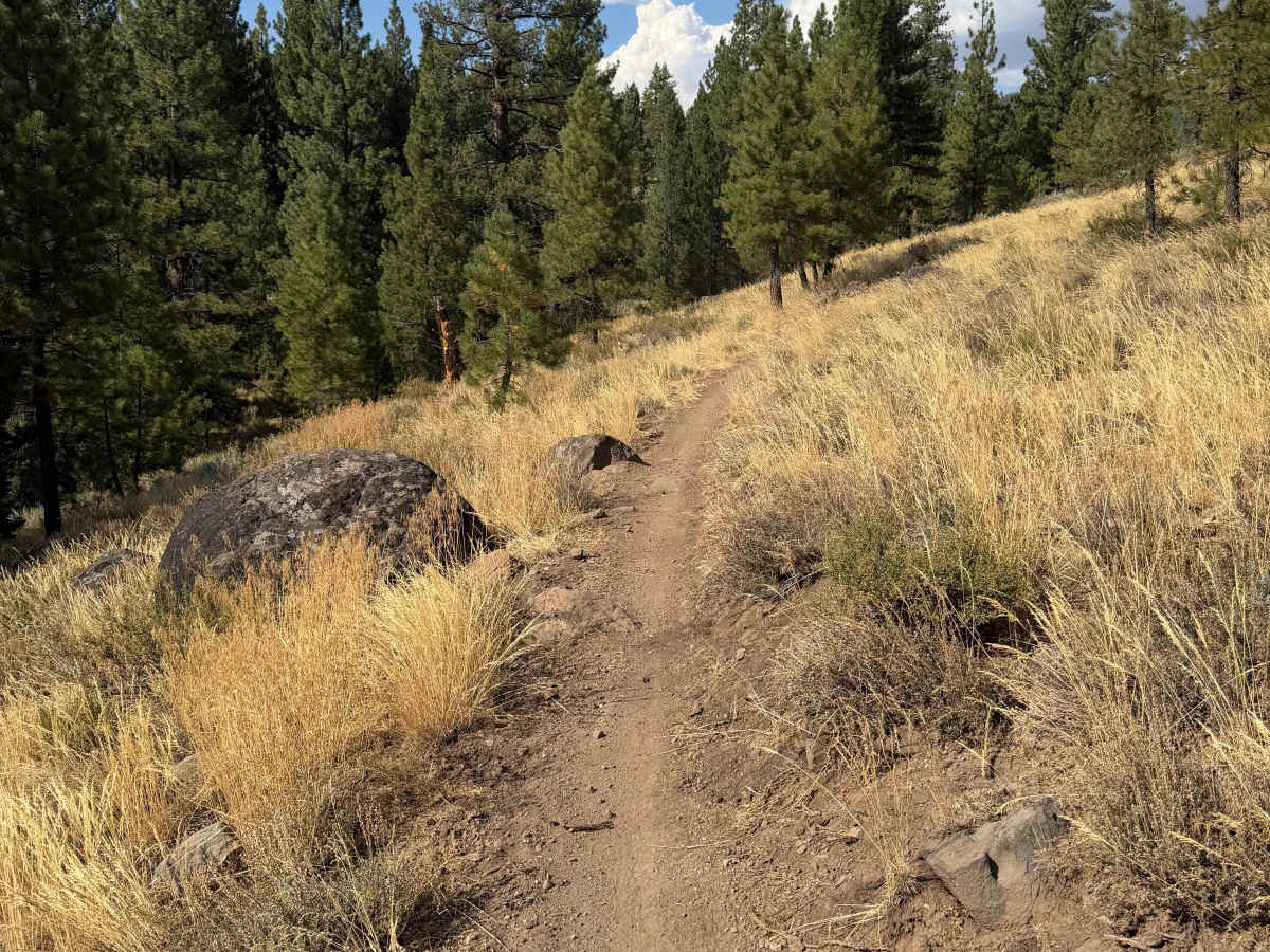 Beer Run Trail Lower photo 5