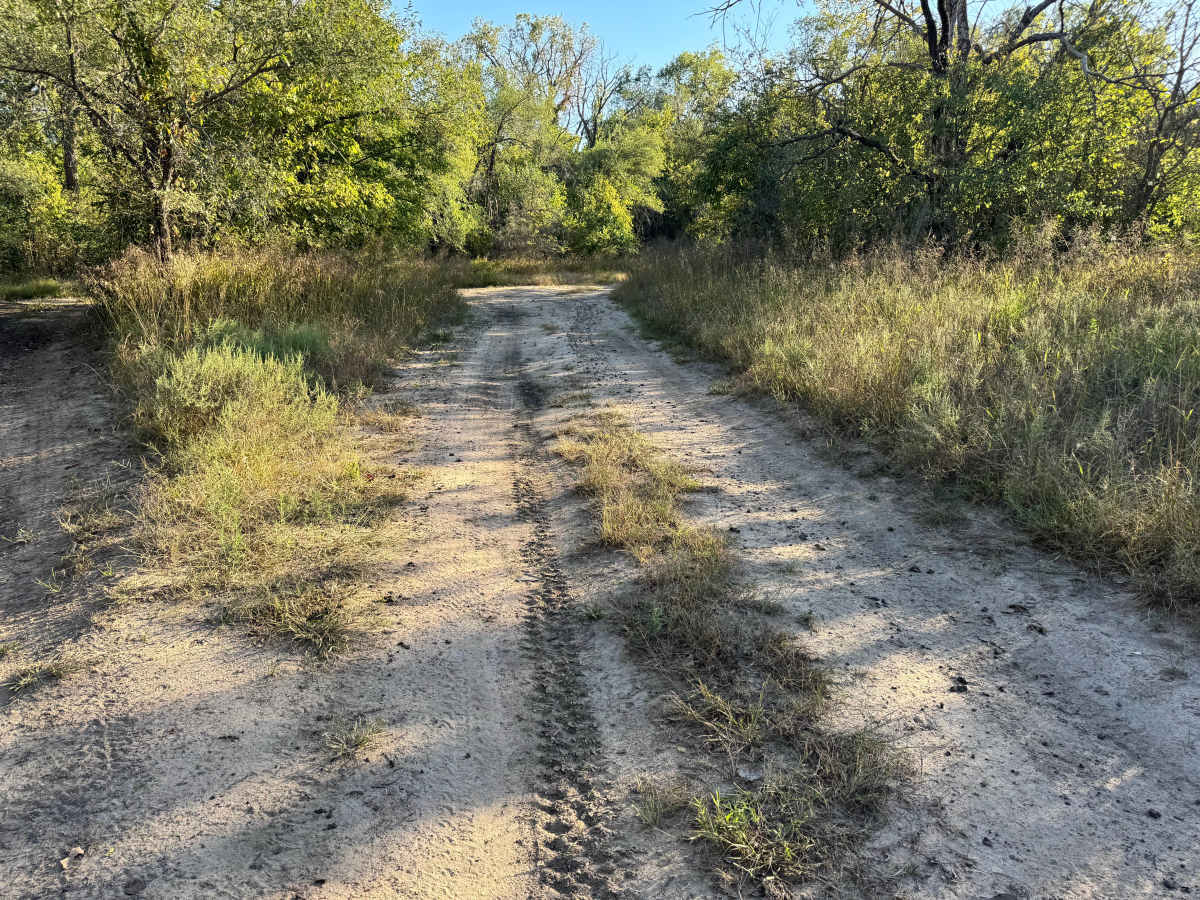 Cabover Canyon trail photo