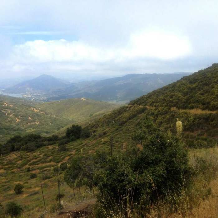 Near Leona Divide Loop