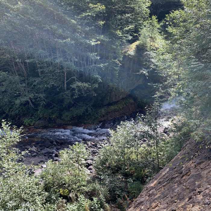 Near Lava Canyon Loop