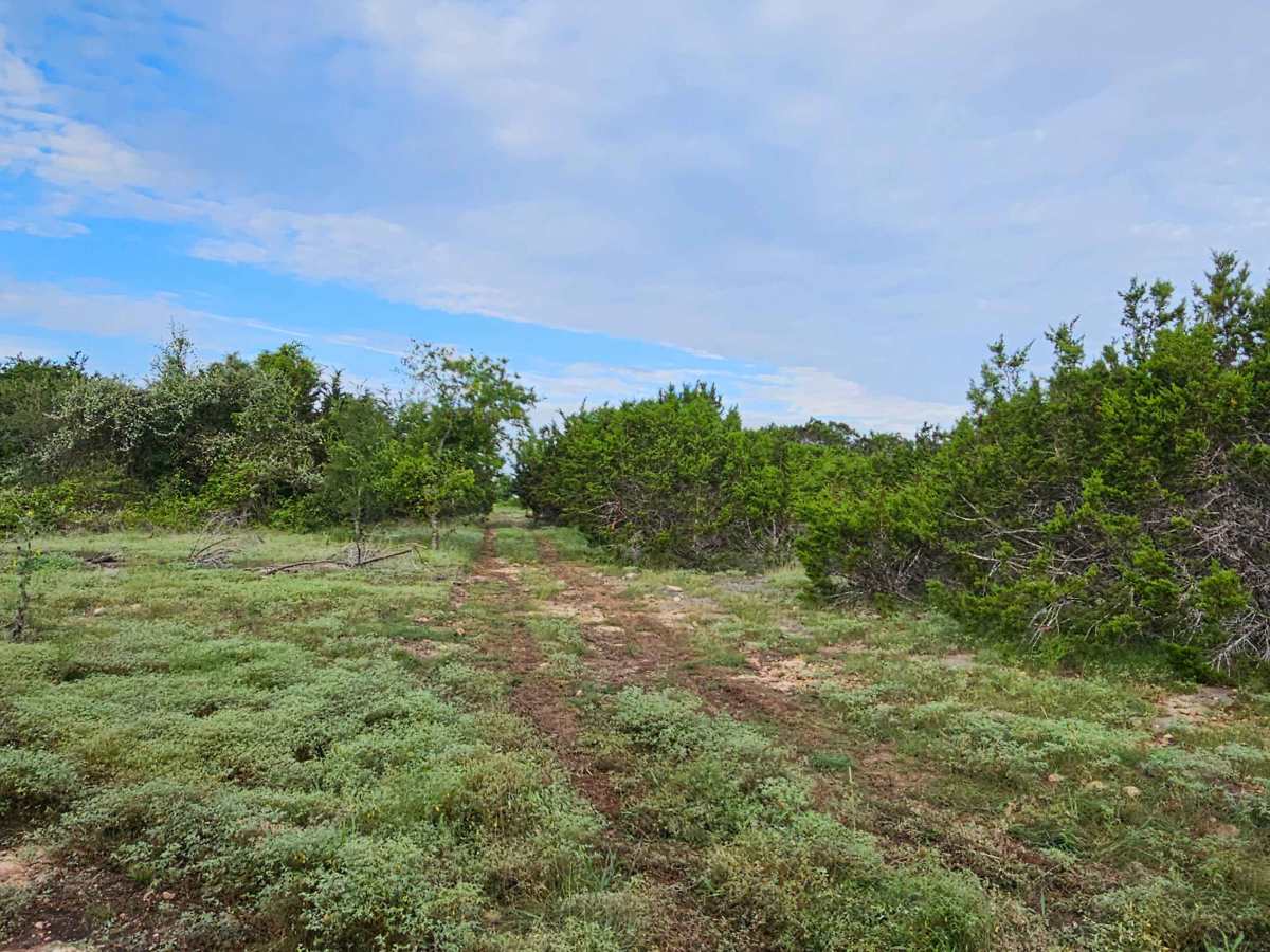 2225 Spur photo 2