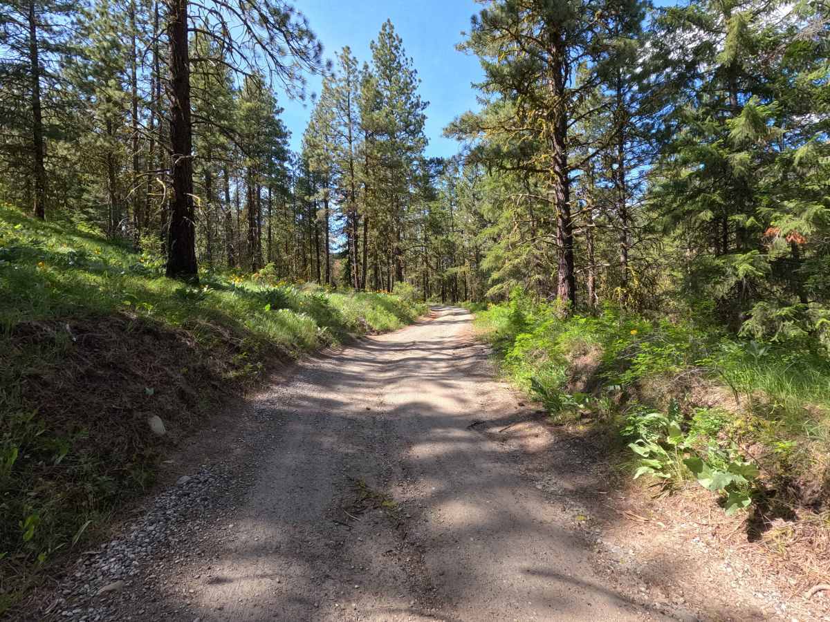 Swakane Canyon Road - FS 7415 photo 6