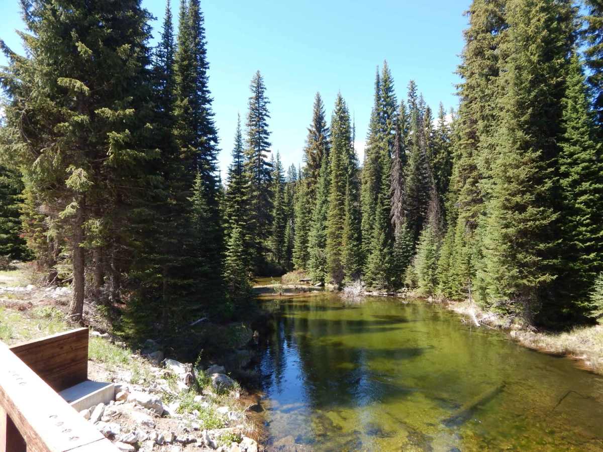 Elk Meadows - Packers Meadows photo 3
