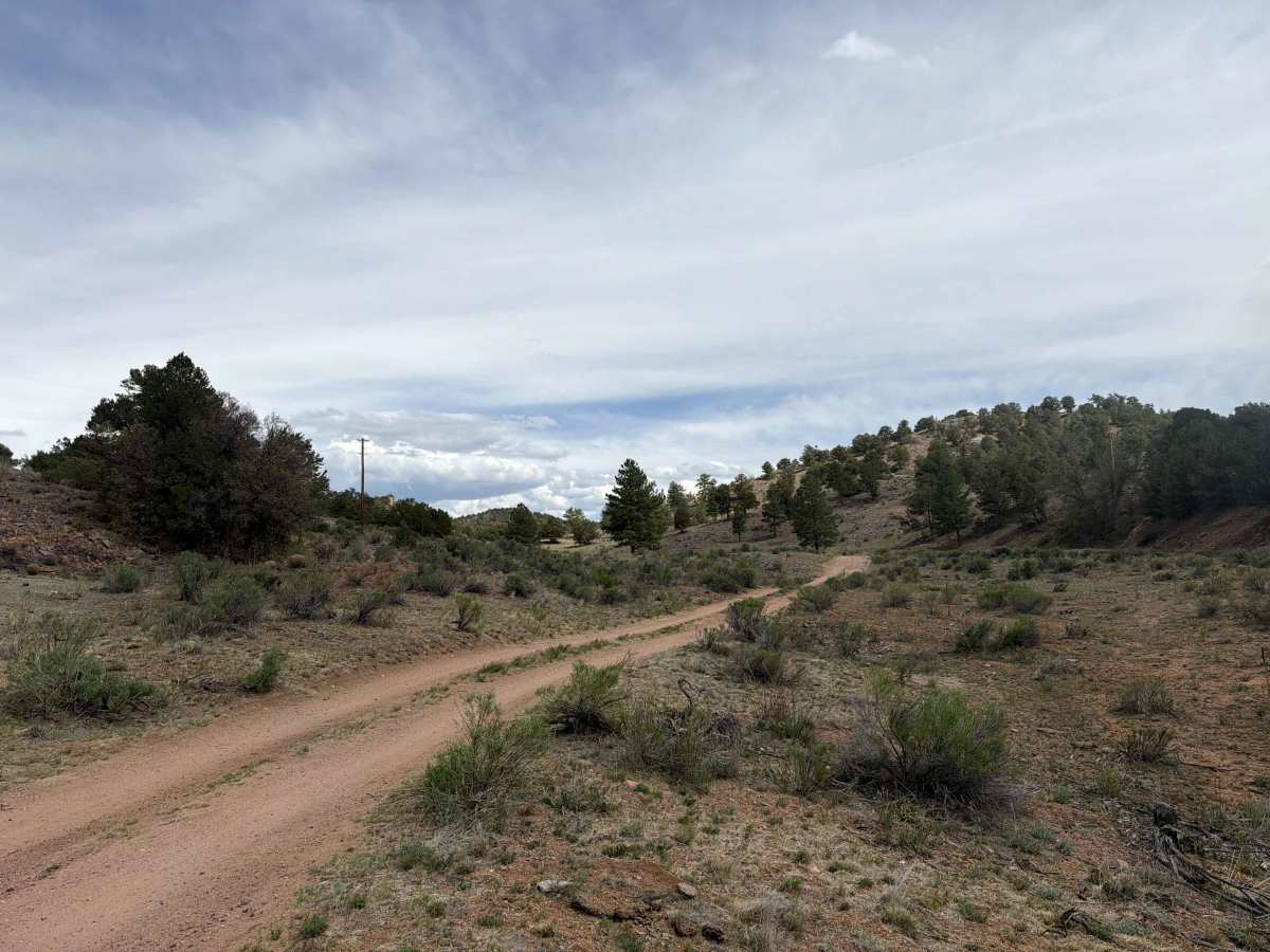 BLM 6161 trail photo