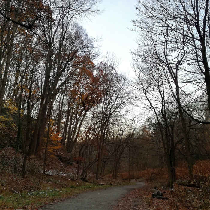 Near Homewood Trail