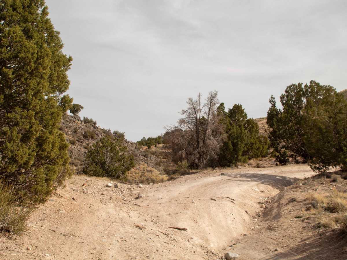 Chimney Rock Mine Trail photo 2