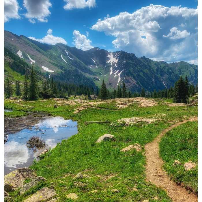 Near Pitkin Creek Trail