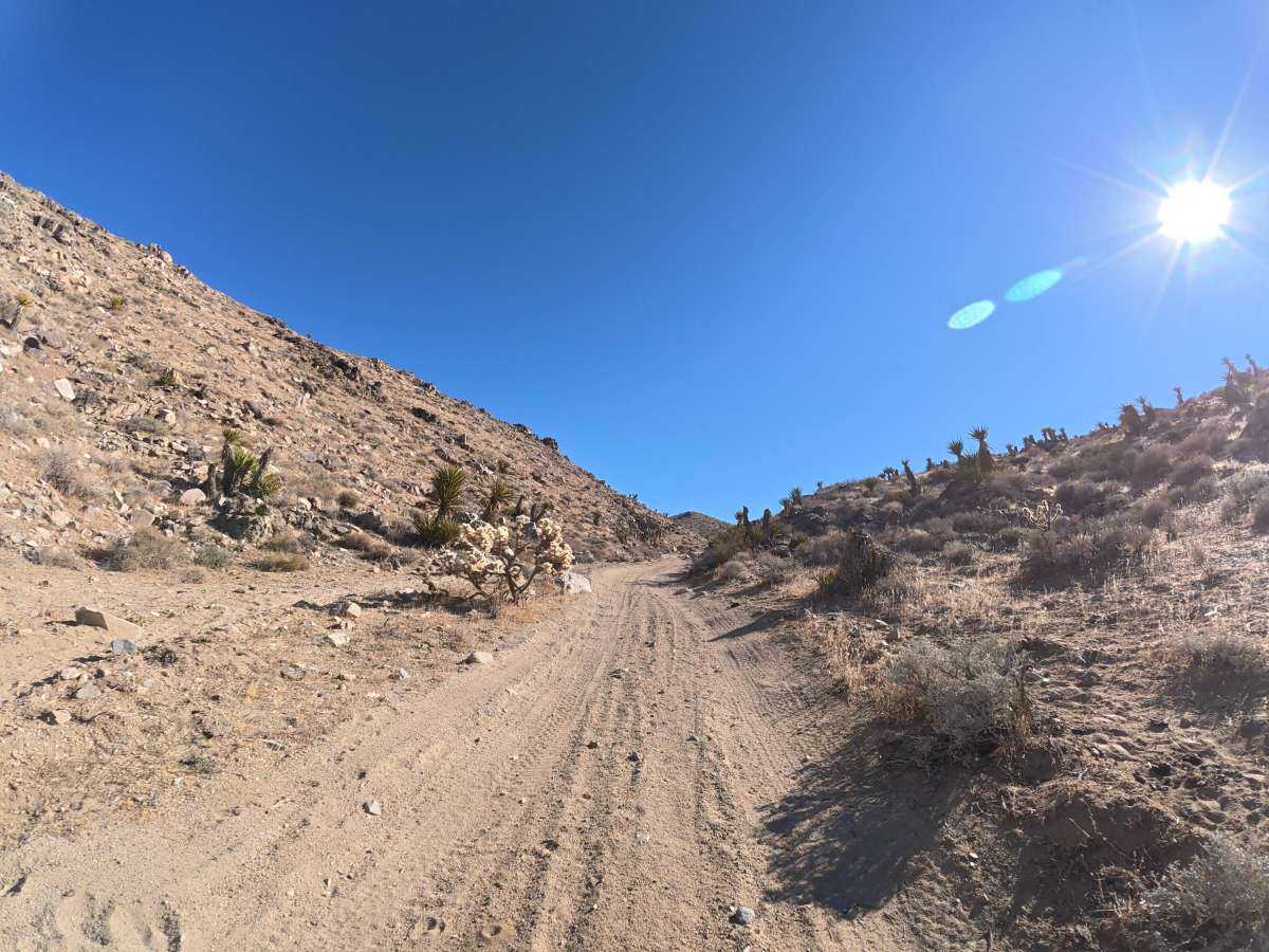 BLM 0M6627 photo 3
