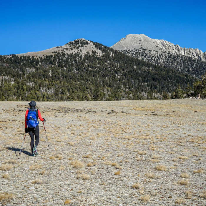 Near Ibapah Peak Near Ibapah Peak