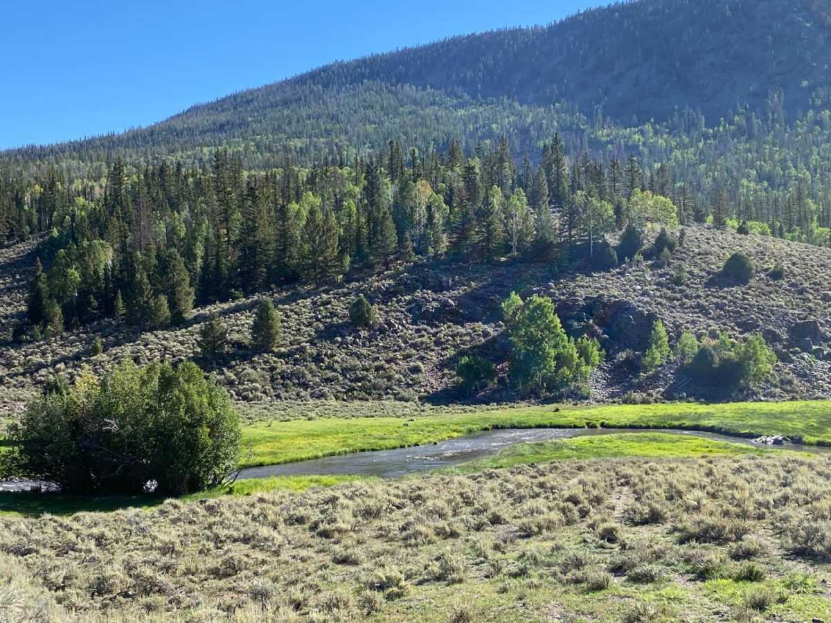 Hilltop Loop trail photo