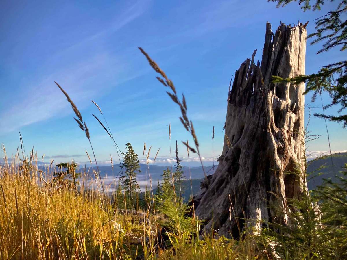 Rush Peak Ridge Road 3013000 photo 6
