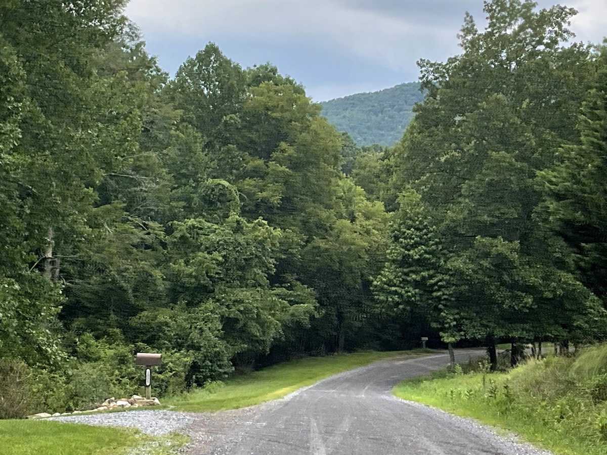 Route 654 trail photo