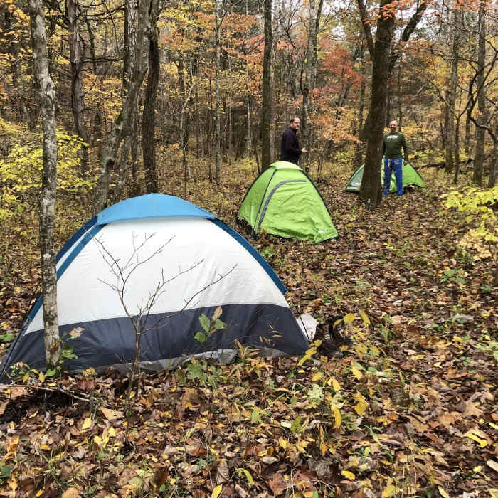 Near Brushy Creek Trail