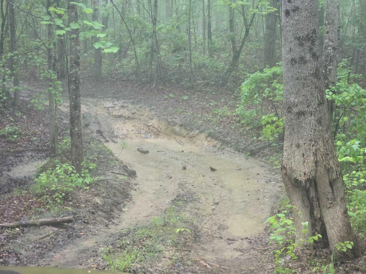 Trail 50 photo 3