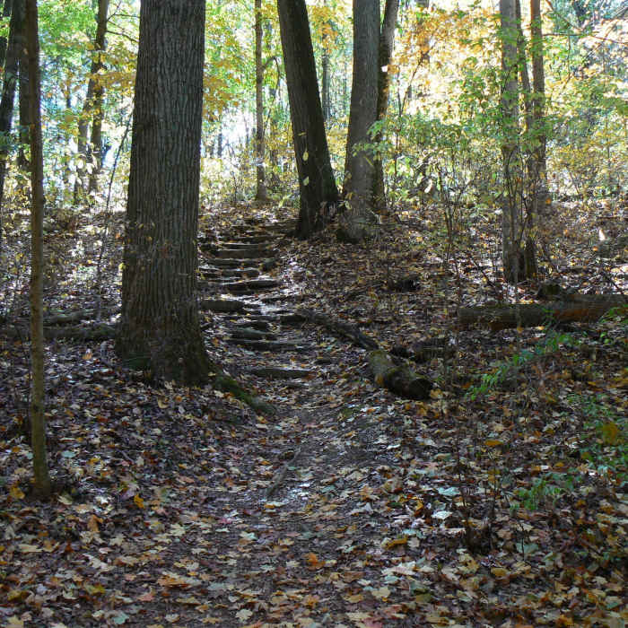 Near Trail 4