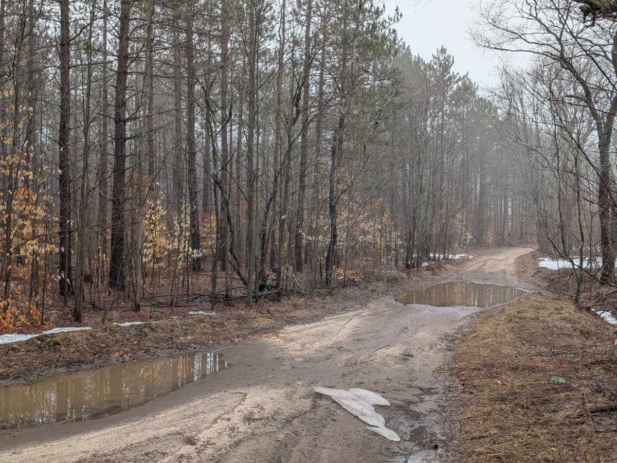 Johnson Lake Rd SE photo 6