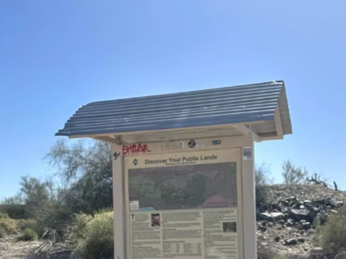 Salton Sea to Bradshaw's Trail photo 4