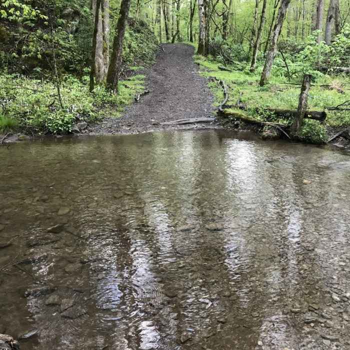 Near Big Dudley Concession Horse Trail